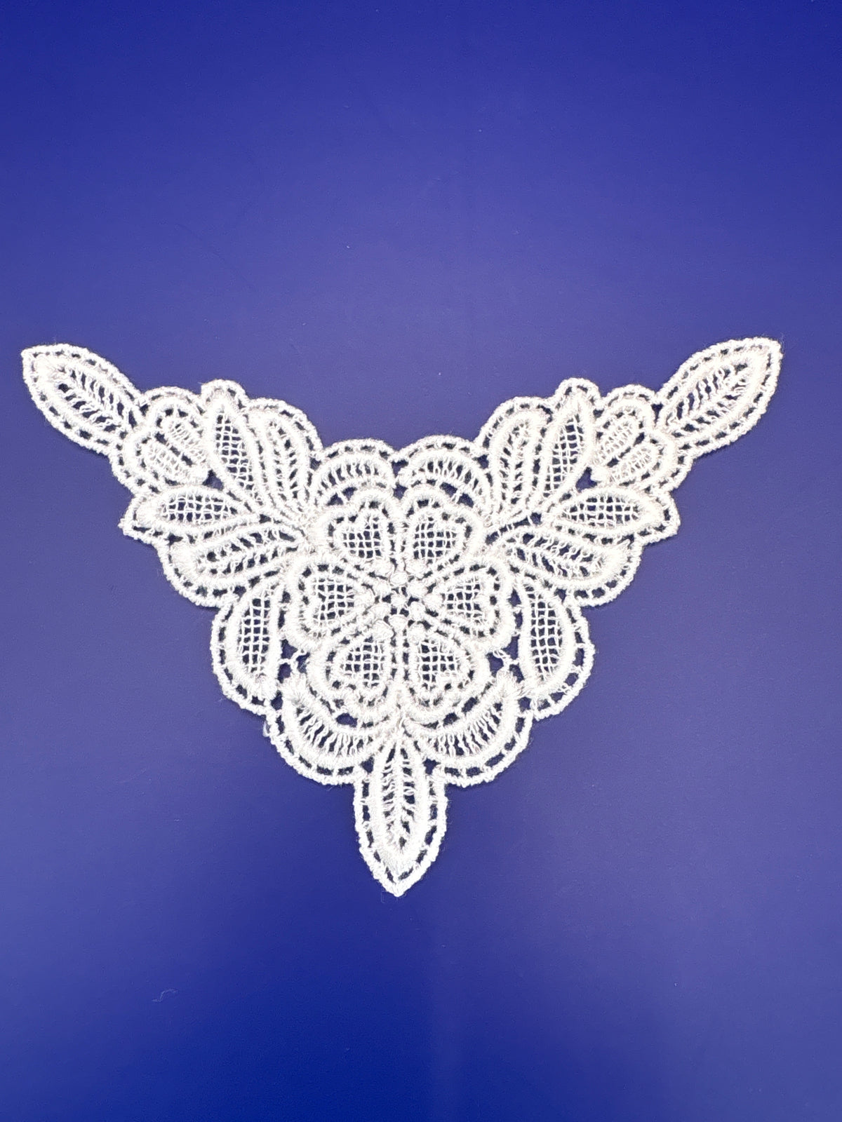 light ivory Guipure type floral motifs