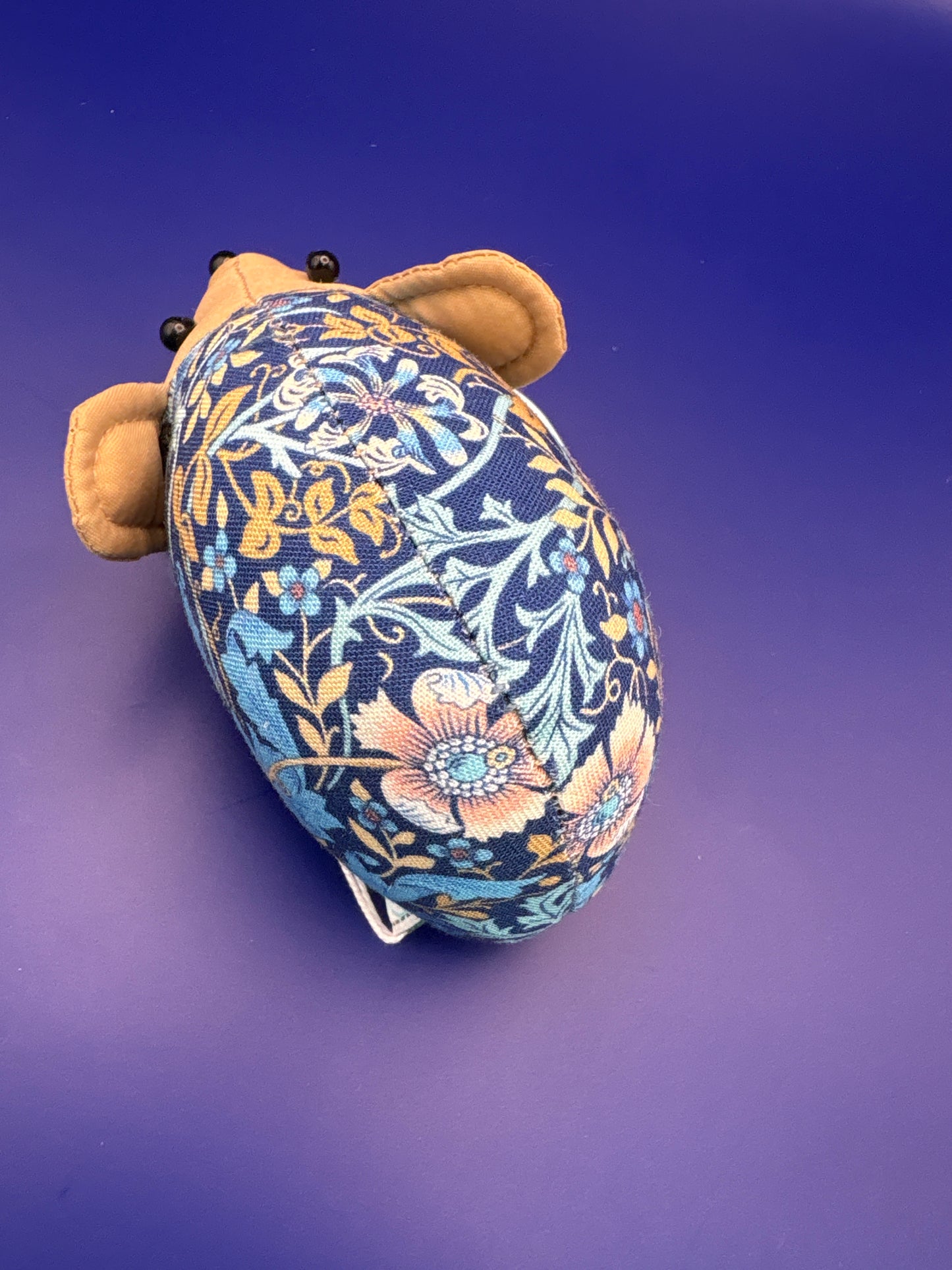 Pincushion hedgehog