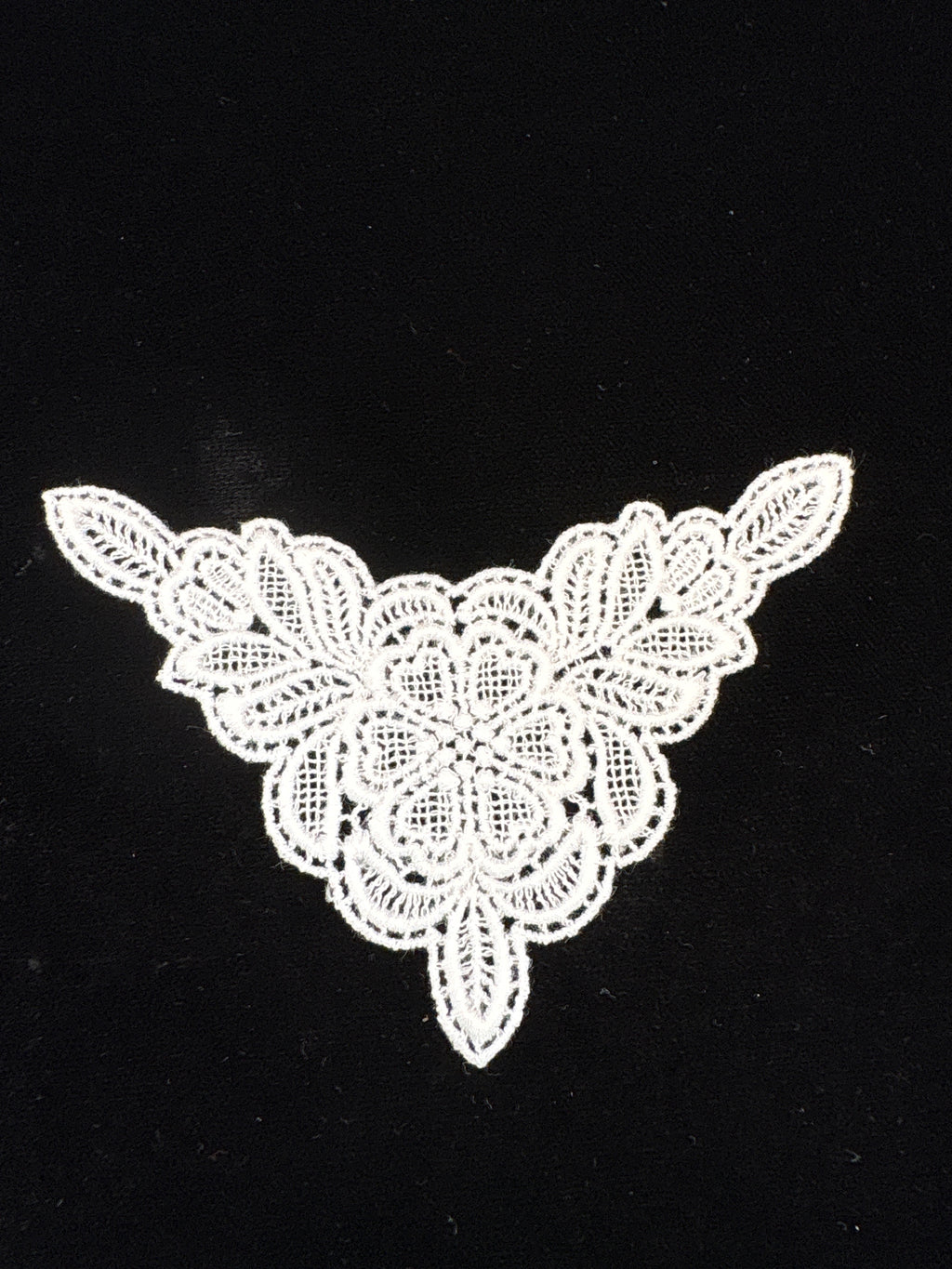 light ivory Guipure type floral motifs