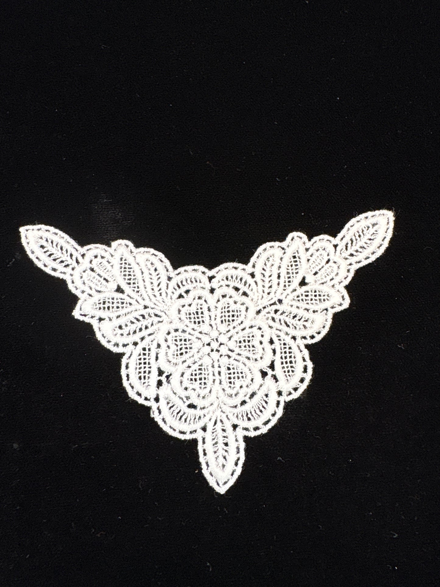 light ivory Guipure type floral motifs