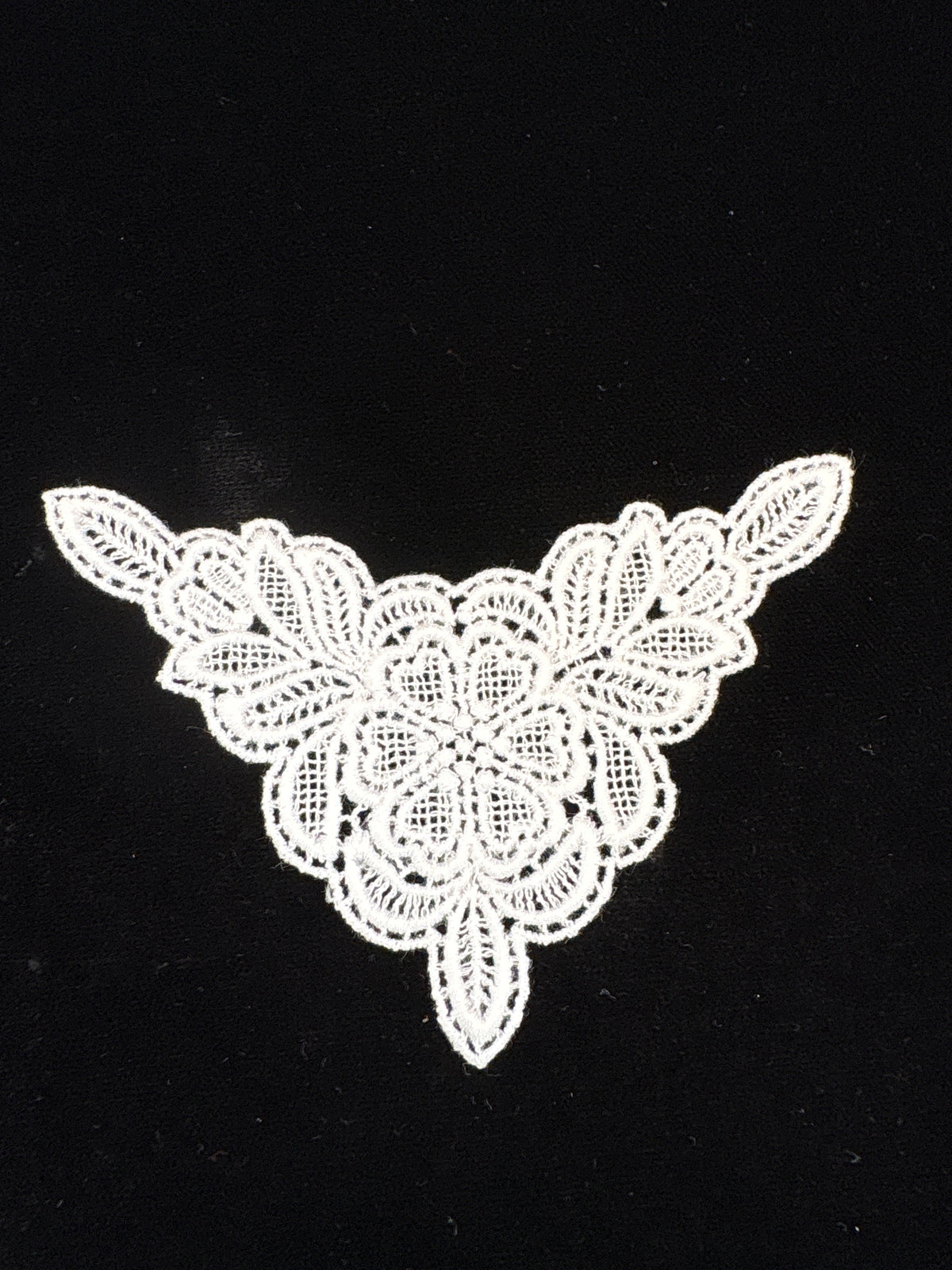 light ivory Guipure type floral motifs