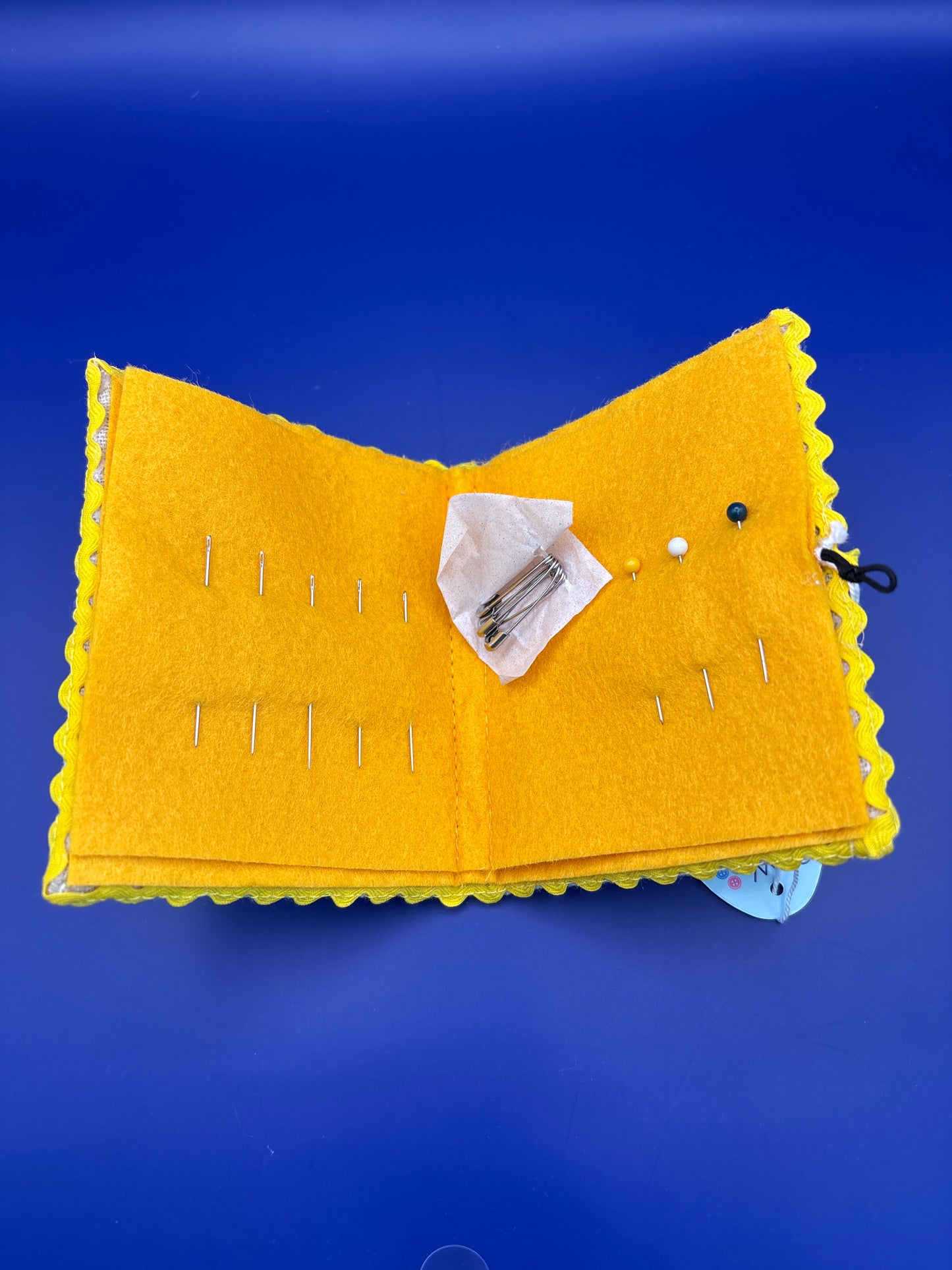 Bee needle case